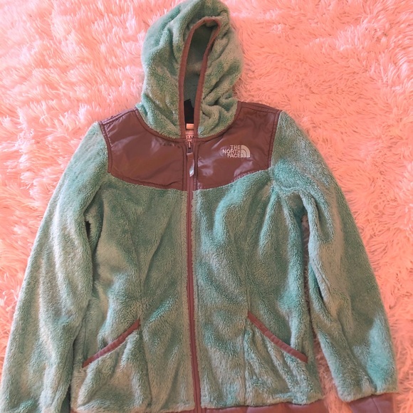 The North Face Other - The North Face Fleece Jacket